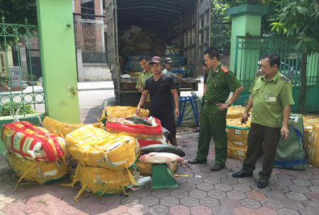 Số cá trắm giòn bị phát hiện