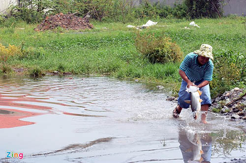 H&igrave;nh ảnh h&agrave;i hước khi người đ&agrave;n &ocirc;ng mang con c&aacute; c&acirc;u được về nh&agrave; lại su&yacute;t bị sổng mất khi tuột tay tr&ecirc;n đường.