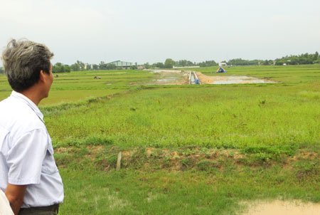 Thửa ruộng b&agrave; Hạnh trồng c&acirc;y thi&ecirc;n tuế