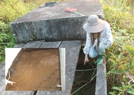 Bể chứa bỏ hoang l&acirc;u ng&agrave;y, b&ecirc;n trong đầy b&ugrave;n đất