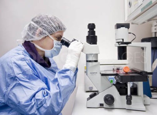 Ảnh minh họa - internet