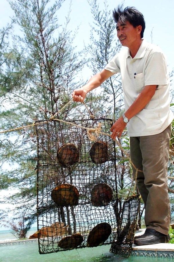 Anh Thủy b&ecirc;n những con trai chuẩn bị v&agrave;o lứa thu hoạch. Ảnh: Ngọc Trinh/VnExpress