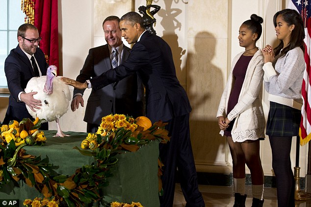 &Ocirc;ng Obama ph&oacute;ng sinh ch&uacute; g&agrave; t&acirc;y nặng 49 pound t&ecirc;n Cheese