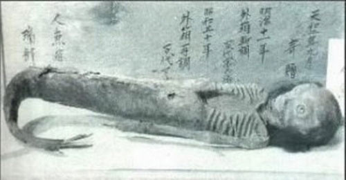 X&aacute;c chết n&agrave;ng ti&ecirc;n c&aacute; Nam Tư