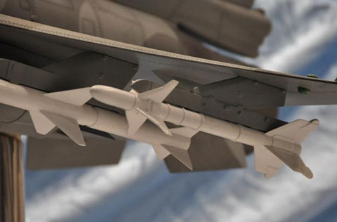 Tr&ecirc;n c&aacute;nh c&oacute; c&aacute;c mấu treo t&ecirc;n kh&ocirc;ng đối kh&ocirc;ng tầm ngắn (gi&aacute; ngo&agrave;i) v&agrave; tầm trung (gi&aacute; trong).