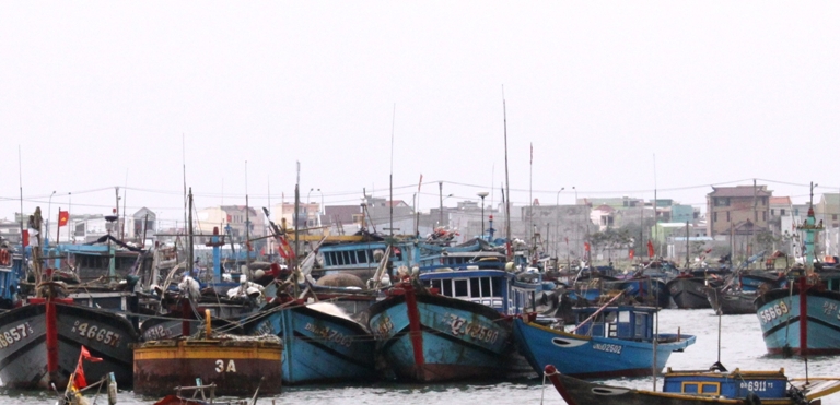 T&agrave;u thuyền về bến &acirc;u thuyền Thọ Quang -Đ&agrave; Nẵng tr&uacute; tr&aacute;nh b&atilde;o