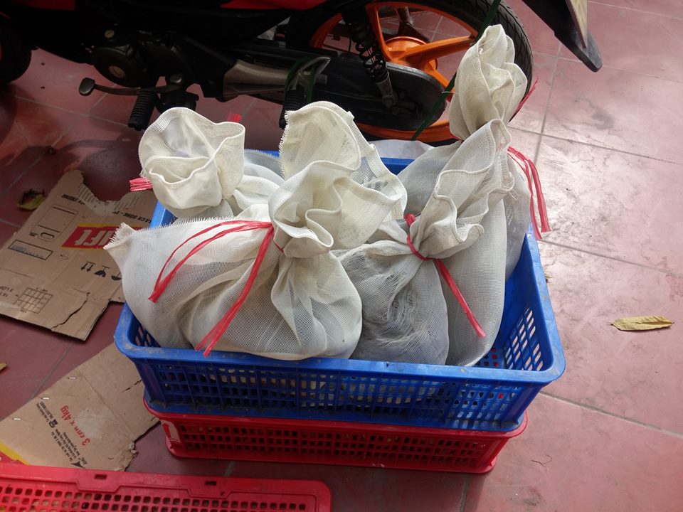 L&ocirc; h&agrave;ng động v&acirc;t qu&yacute; hiếm được thu giữ tại cơ quan điều tra