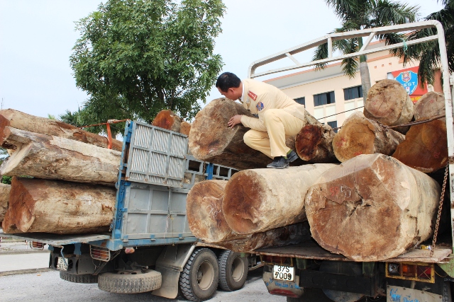 Lực lượng CSGT đang kiểm tra số gỗ tr&ecirc;n xe