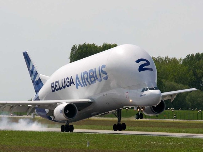 Chiếc vận tải cơ Airbus Beluga c&oacute; thiết kế kh&iacute; động học qu&aacute;i dị như một ch&uacute; c&aacute; voi lưng g&ugrave;. Người ta chế tạo vận tải cơ n&agrave;y để vận chuyển c&aacute;c loại h&agrave;ng h&oacute;a qu&aacute; khổ, qu&aacute; tải. N&oacute; c&oacute; thể chở theo tải trọng h&agrave;ng h&oacute;a tối đa 47 tấn. Ảnh: Business Insider