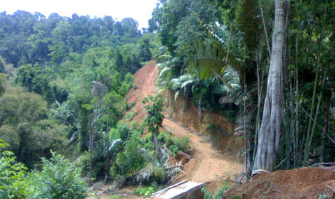 Đường tuần tra bi&ecirc;n giới