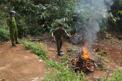Lực lượng chức năng thi&ecirc;u hủy rắn (Ảnh: Thanh Ni&ecirc;n)