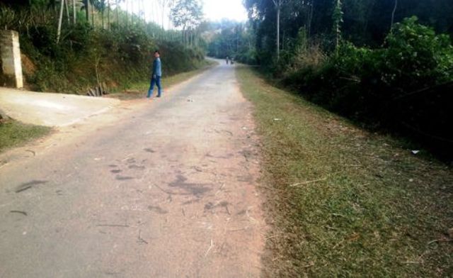 Hiện trường nơi người d&acirc;n th&ocirc;n Thạch Bằng bao v&acirc;y c&aacute;c đối tượng trộm ch&oacute;