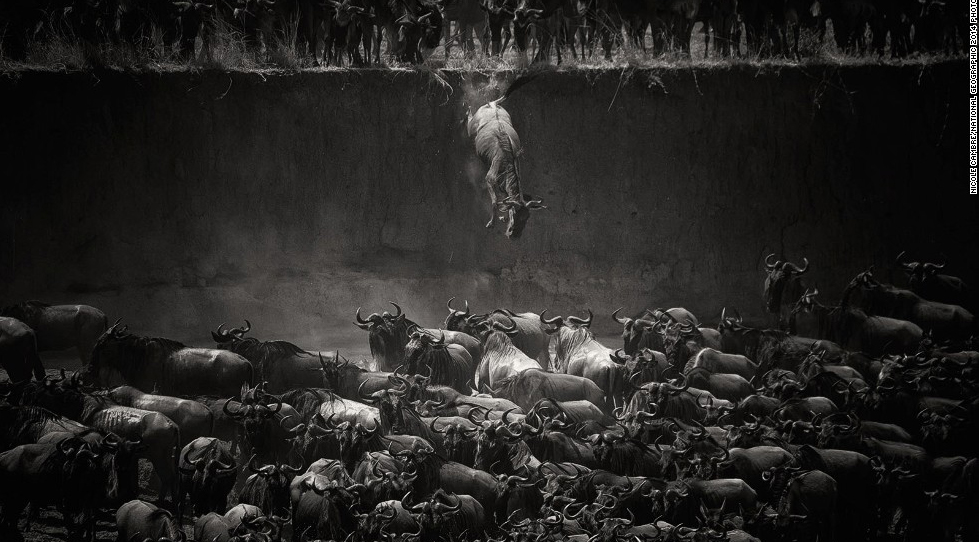 T&aacute;c giả Nicole Cambre ch&uacute; th&iacute;ch cho bức ảnh n&agrave;y: 