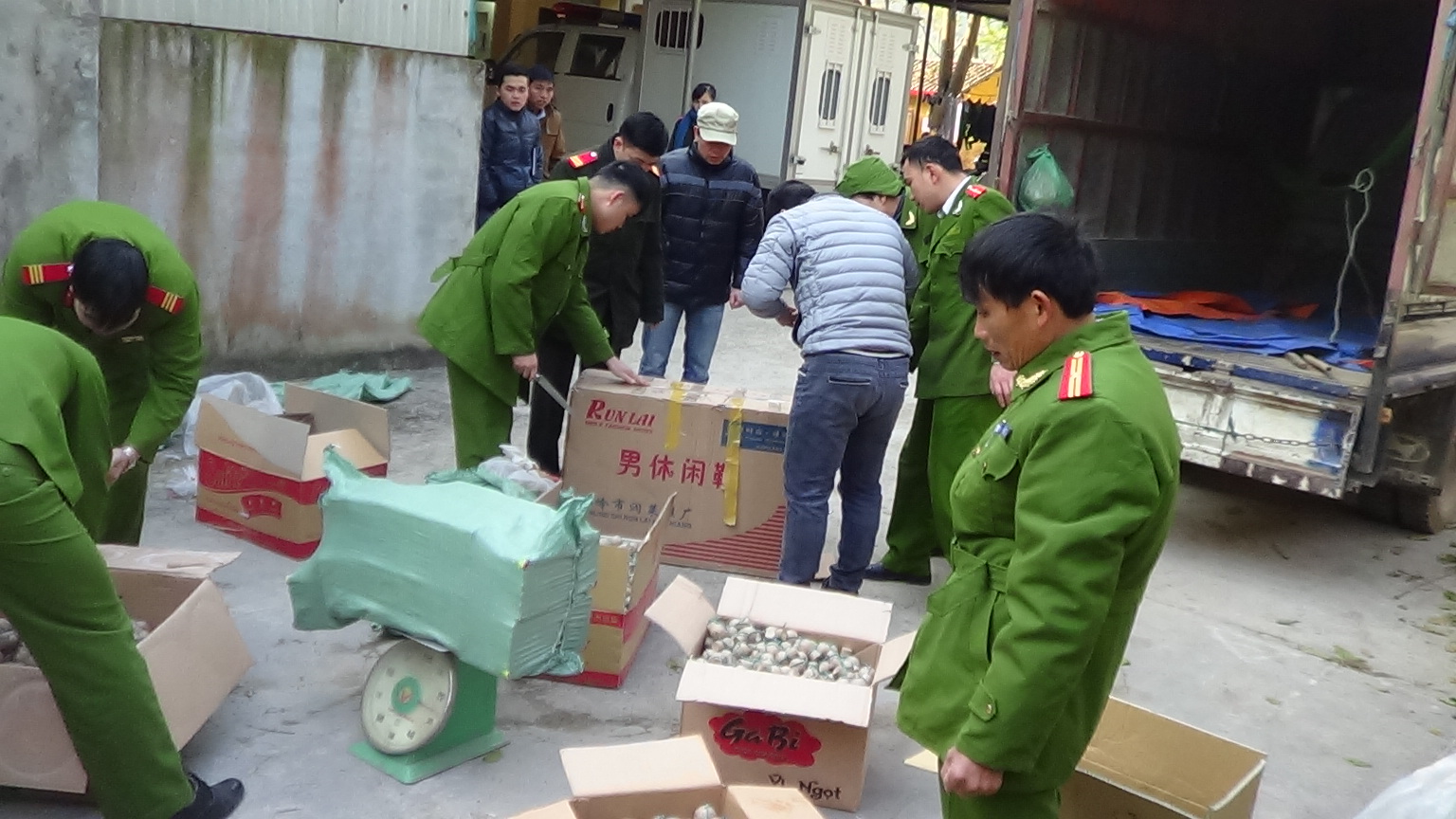 Số ph&aacute;o lậu bị lực lượng chức năng bắt giữ