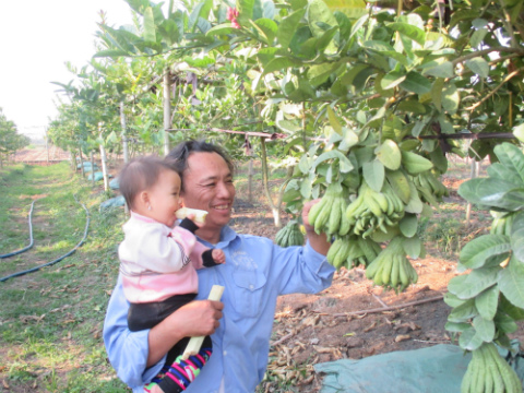 Chị Th&uacute;y cũng tươi cười chia sẻ: &ldquo;V&agrave;o đ&acirc;y nh&agrave; ai trồng phật thủ cũng x&acirc;y nh&agrave; 2 tầng, mua xe, mua đất, nu&ocirc;i c&aacute;c con ăn học. T&ocirc;i c&oacute; một ch&aacute;u học năm nhất Đại học y,sắp tới t&ocirc;i cho con đi du học ở nước ngo&agrave;i. Cuộc sống ng&agrave;y xưa m&igrave;nh khổ rồi, giờ phải để con c&aacute;i hưởng lộc&rdquo;.