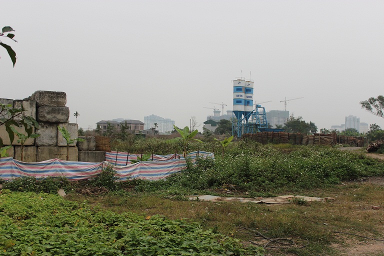 To&agrave;n bộ khu đất dự t&iacute;nh x&acirc;y chung cư cao cấp giờ đ&acirc;y chỉ l&agrave; b&atilde;i cỏ hoang