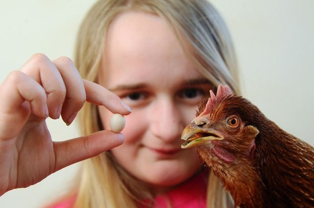 Shannon sở hữu quả trứng b&eacute; nhất thế giới hiện nay