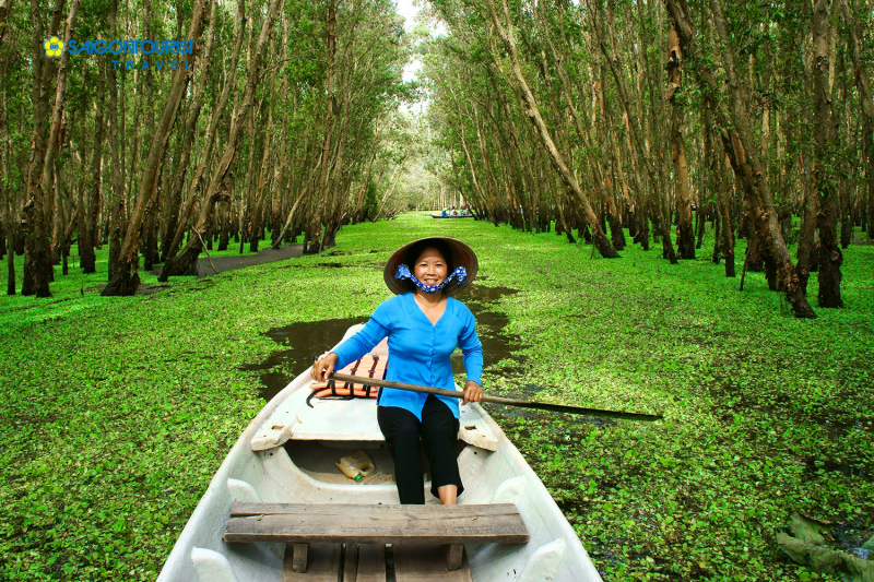 tra-su-cajuput-forest-an-giang