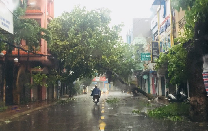 23201572_1456166674498055_717281738_n