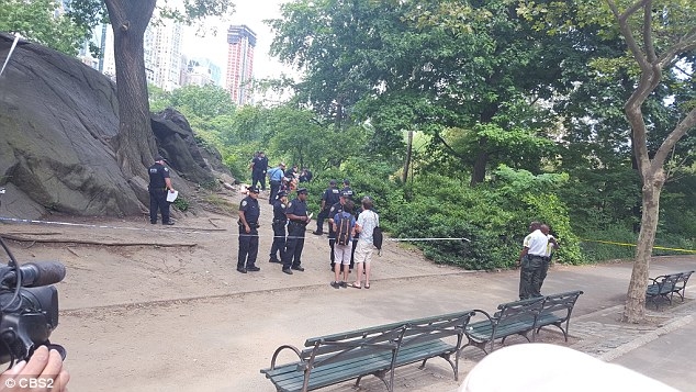 35EA29CF00000578-0-image-a-26_1467560649586