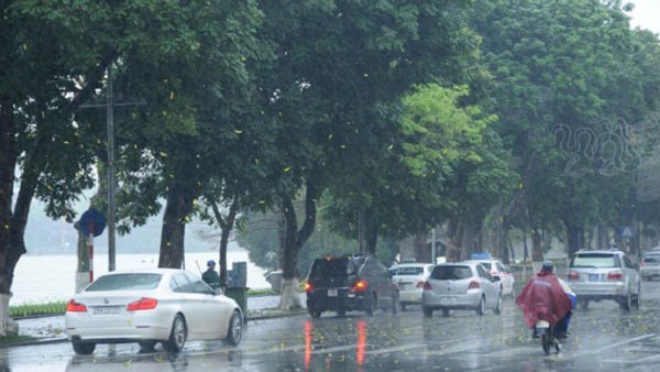 du-bao-thoi-tiet-8-11-ha-noi-mua-rao-sang-som-mien