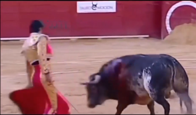 b&ograve; h&uacute;c chết