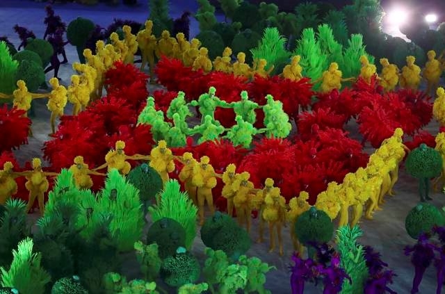 H&igrave;nh ảnh sống động về những thảm thực vật ở Brazil