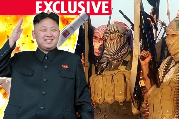 57c31fb2575ed_Kimnukes1