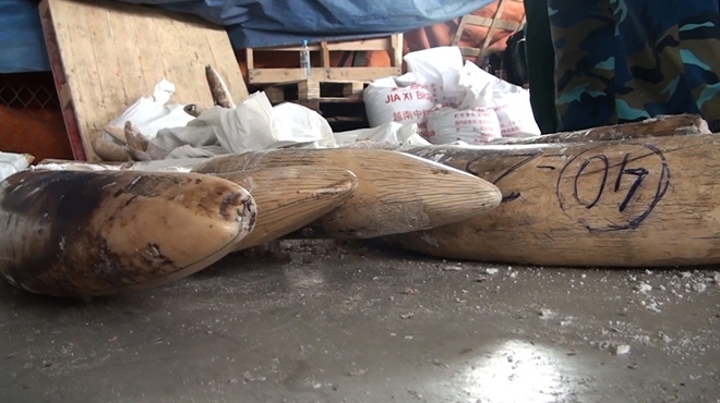 thumb_660_0aef6c5b-f167-4309-8d56-c6621b5980c8