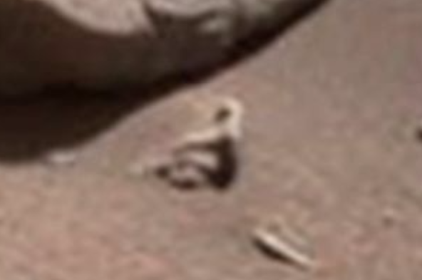 Aliens-Exist-Proof-Mars-UFO-Life-Curiosity-Rover-R