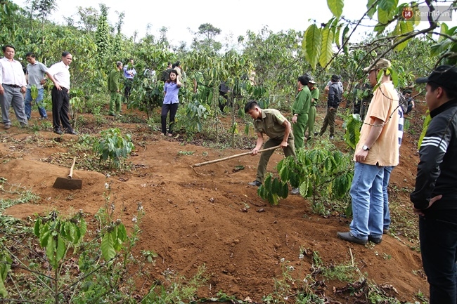 img-9499-1487316082192