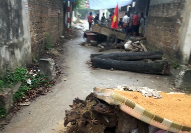 dong-tam-my-duc-1492562419