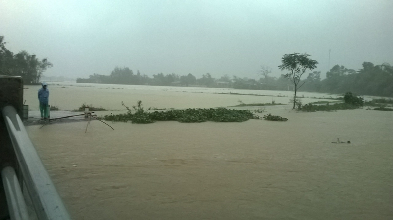 Bất chấp nguy hiểm, người d&acirc;n tranh thủ giăng lướt