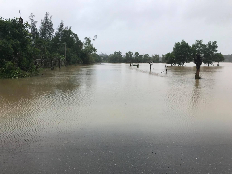 48357433_284394105612333_4456537140972486656_o