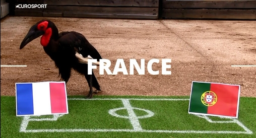 phuong-hoang-du-doan-tran-chung-ket-euro-2016