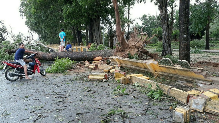 C&acirc;y lớn ở huyện Nghi Xu&acirc;n bị gi&oacute; b&atilde;o thổi ng&atilde; xuốn