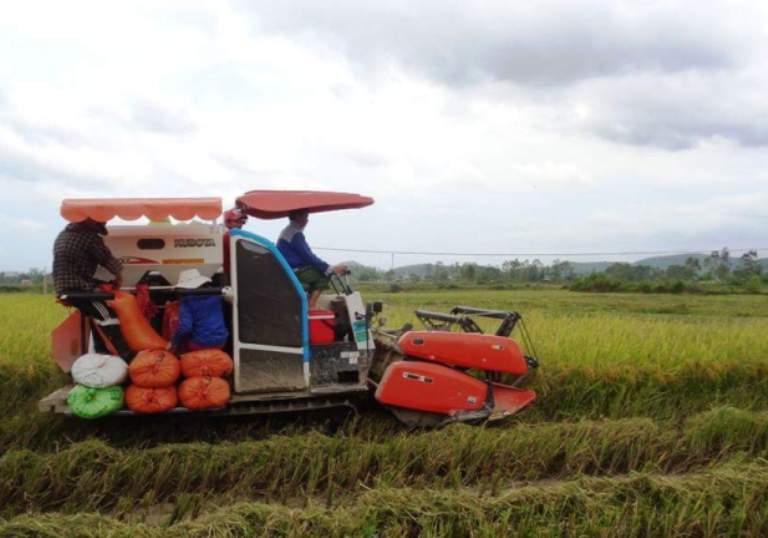 z769012607829_614e73f02af59b12c0a2b9aa2a513fb6