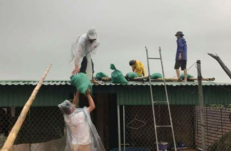 21731127_1525511100828593_2483864552868318841_n