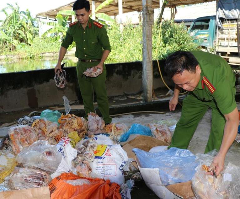 23559566_1684824731596796_6647259582815817171_n (1