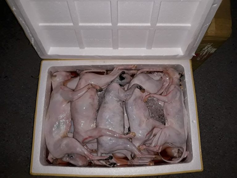 23658498_370919383347280_2123818020021545301_n