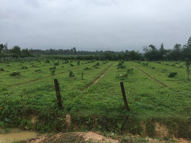 30127777_186451788745956_2617180768979386368_n