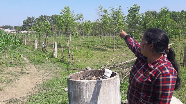 30118210_1415696611869671_820822706_n