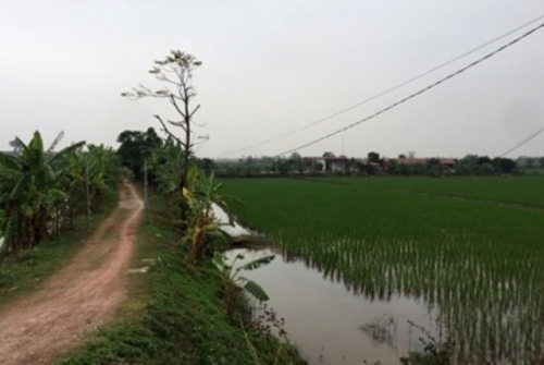 pha-soi-bac-da-ga-o-dam-tom-1487984104