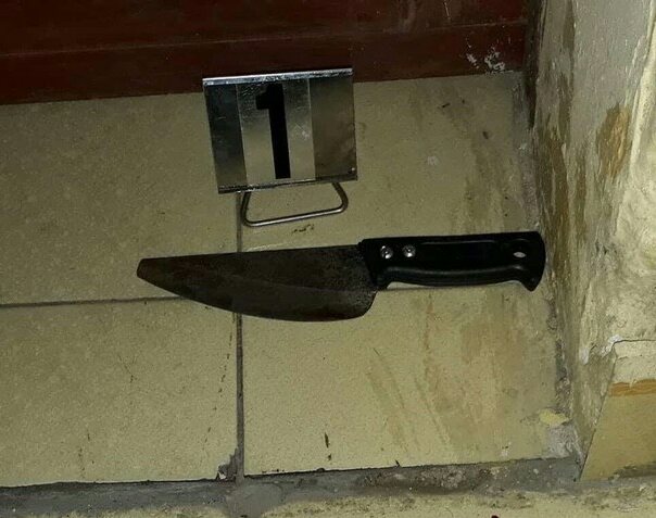 IMG_20180321_223303_1