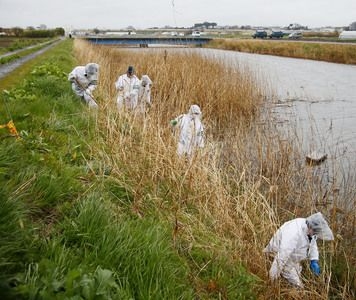 be gai viet  nam bi giet tai nhat ban