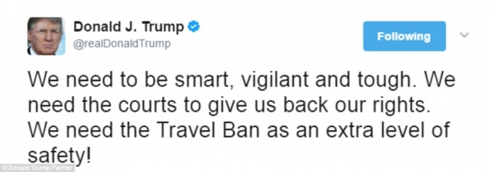 41132F1300000578-4569638-image-a-118_1496535975787