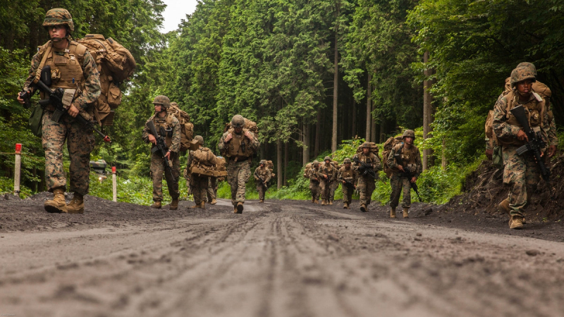 Lục qu&acirc;n Mỹ - Ảnh minh họa