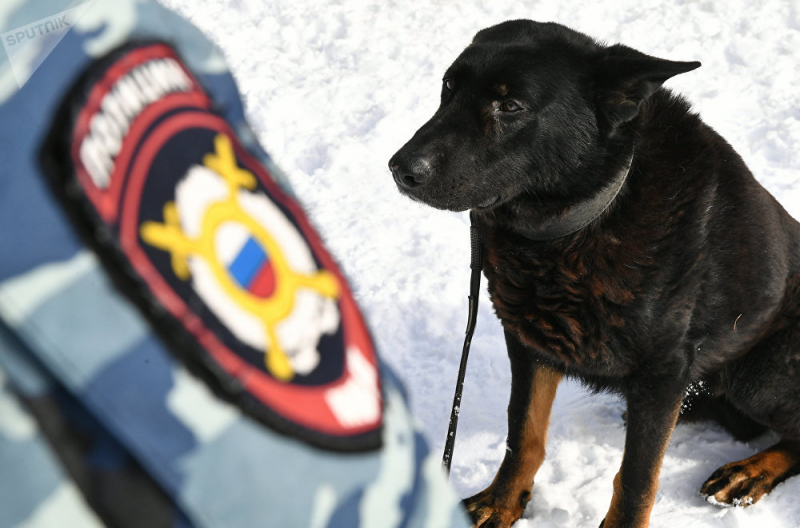 Trung t&acirc;m Cảnh khuyển Bộ Nội vụ Nga ở Moscow 3