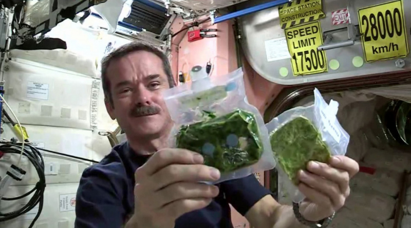 Nh&agrave; du h&agrave;nh Chris Hadfield