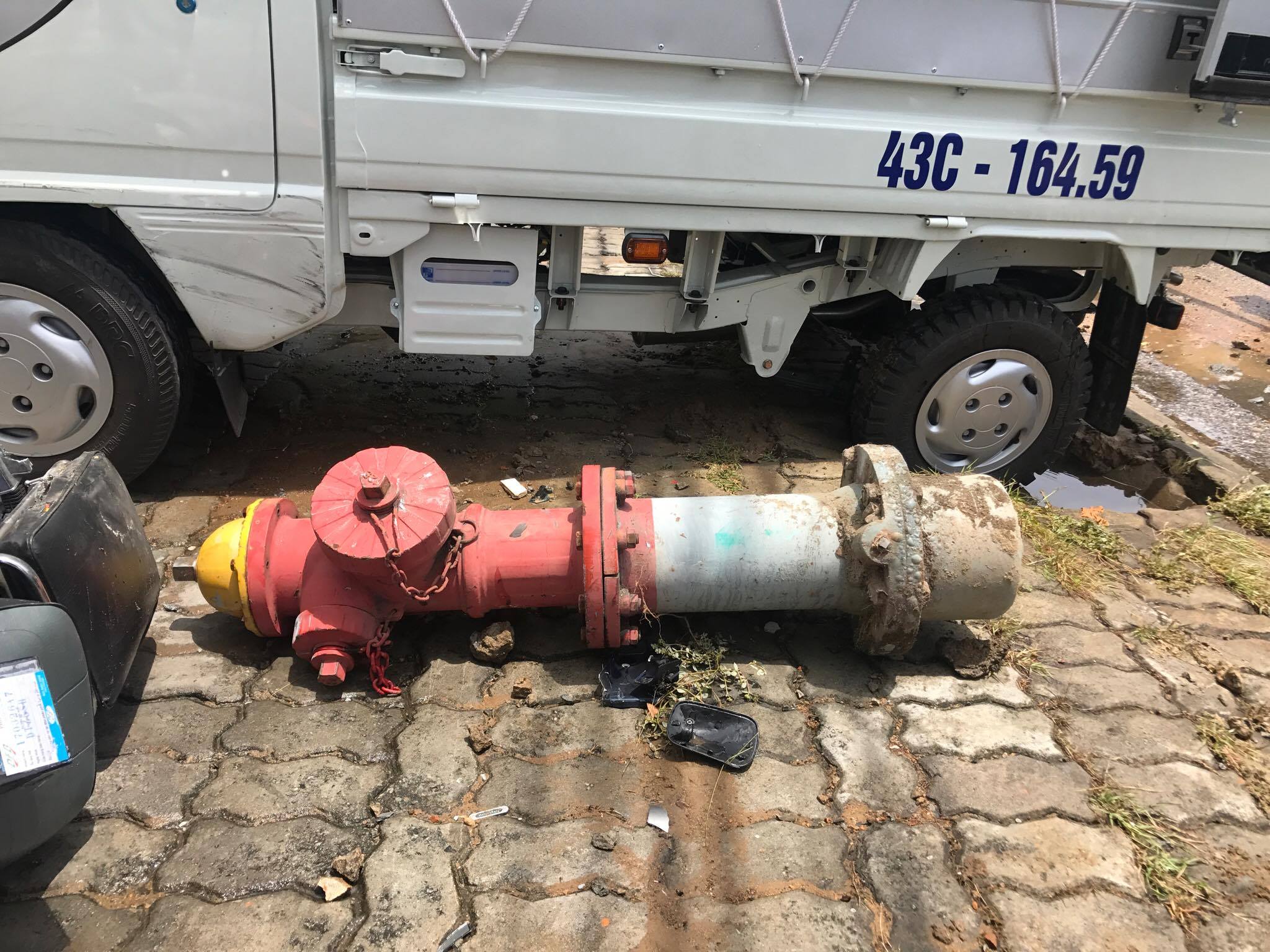 20906862_10207964522669373_1718274507_o